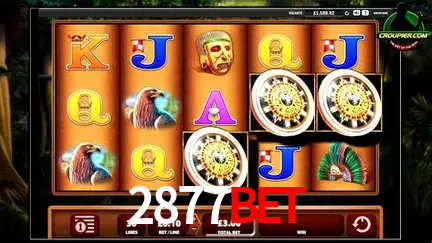 Cassino ao vivo com dealers reais na 2877Bet